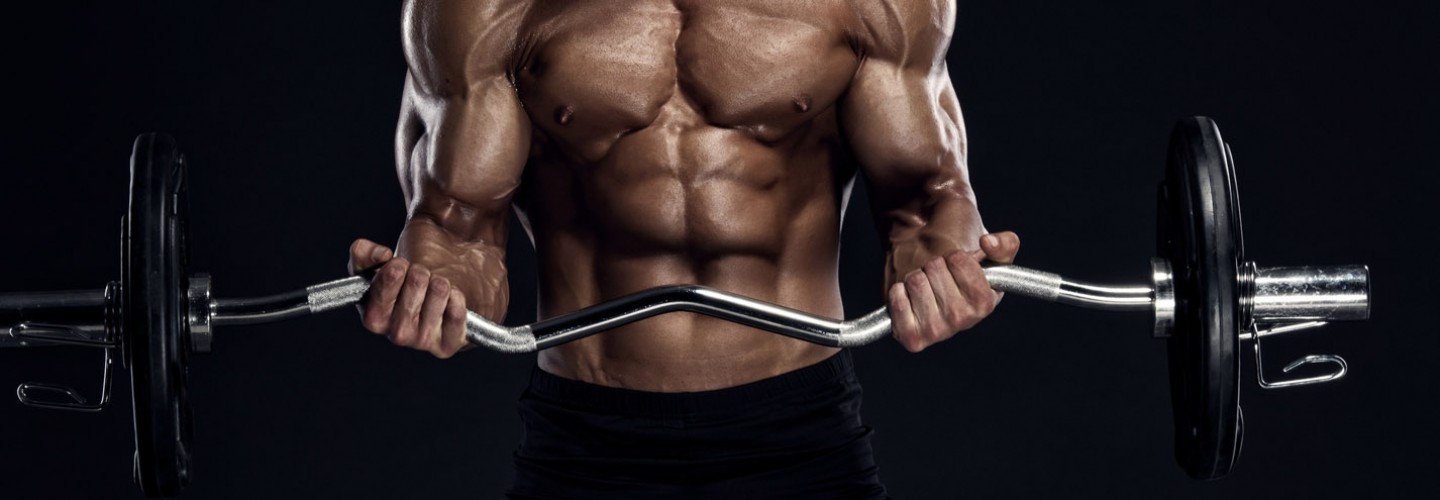 Tips on Gaining Lean Muscle Mass Tips on Gaining Lean Muscle Mass new photo Tips on Gaining Lean Muscle Mass Tips on Gaining Lean Muscle Mass new pictures