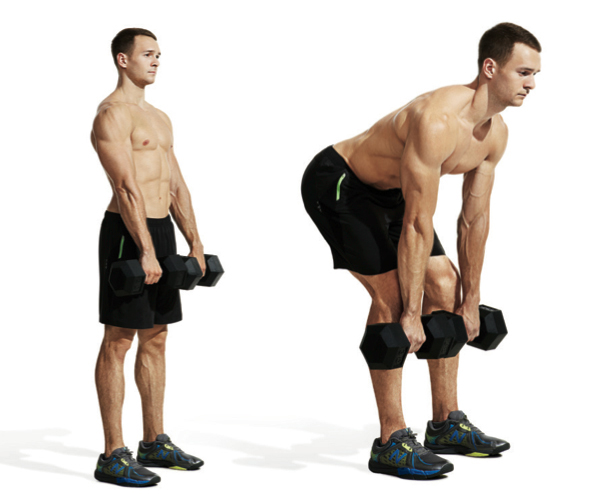 The 15 Most Important Exercises For Men