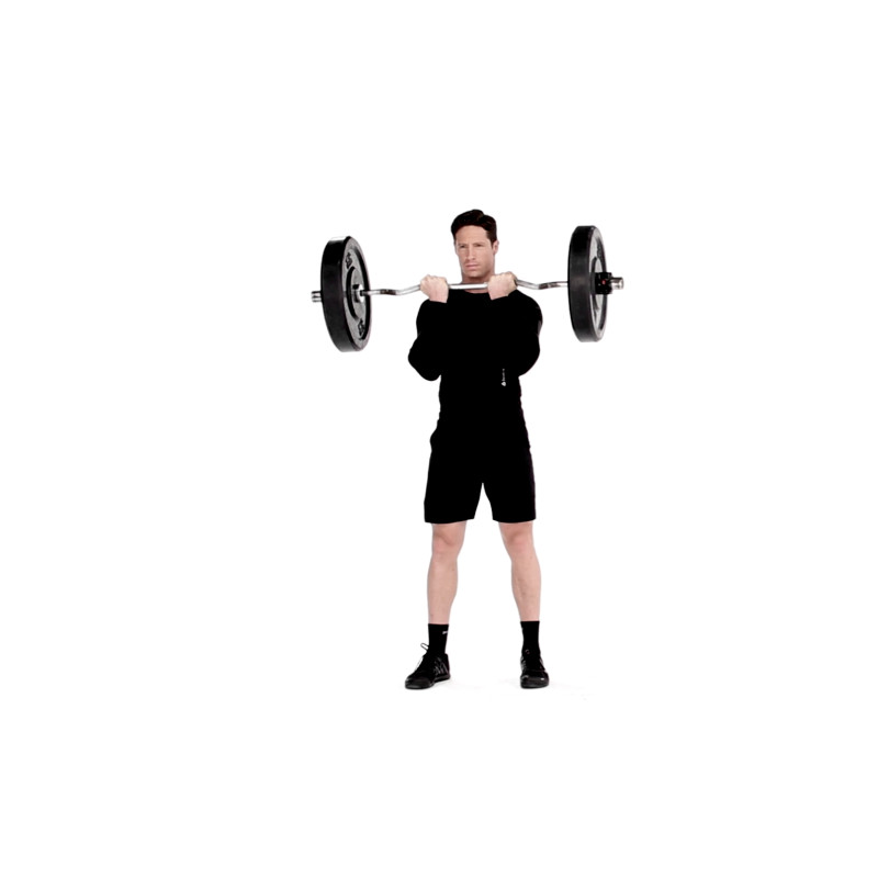 How to Properly Execute a Standing EZBar Biceps Curl Muscle & Fitness