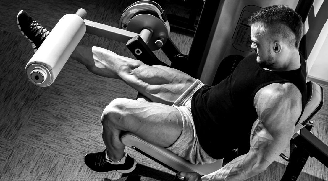 The Best LegBuilding Workout Program Muscle & Fitness