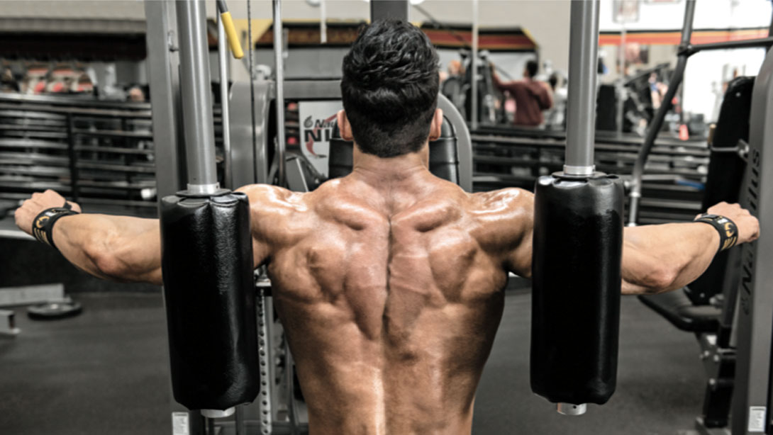 Build Bigger, Badder Shoulders Workout