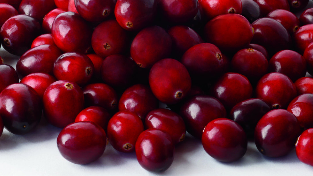 Healthy Food 5 Ways to Eat Cranberries Muscle & Fitness