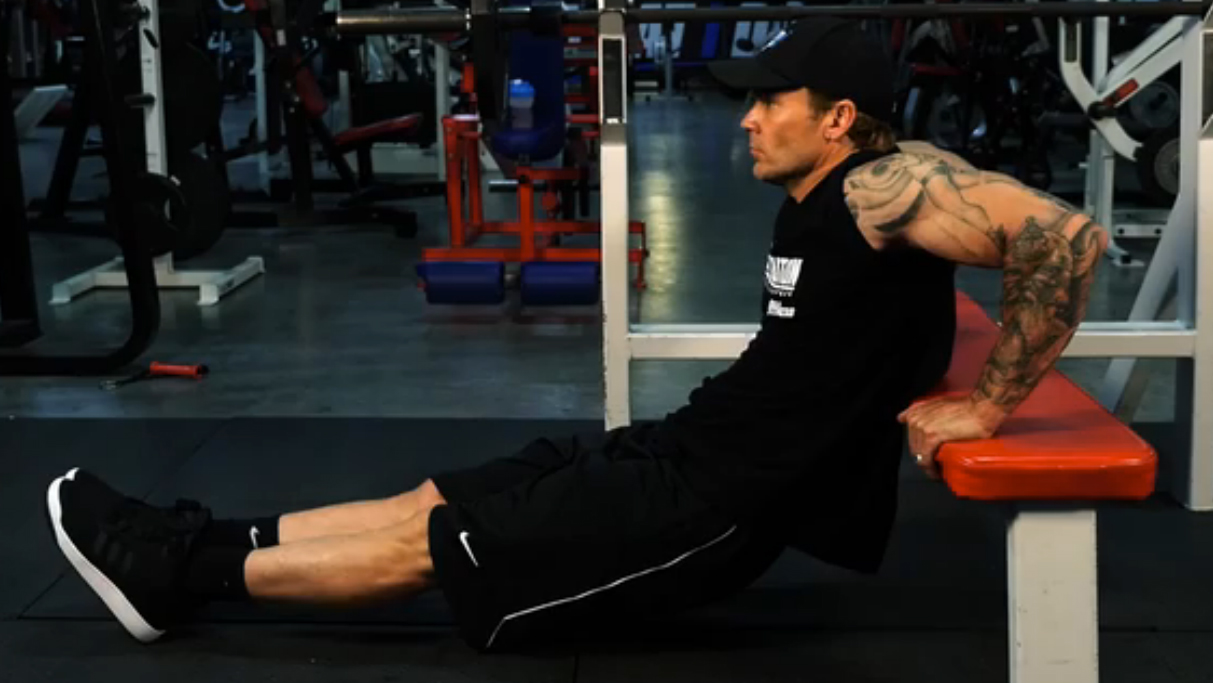 60 Day Rev Triceps Dip Video Watch Proper Form, Get Tips & More
