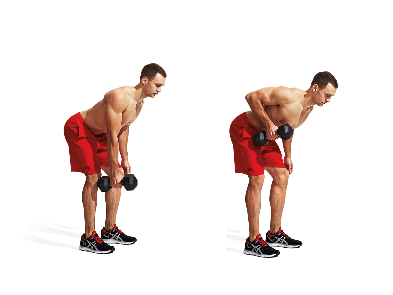 Dumbbell Row Anatomy Dumbbell Row Anatomy