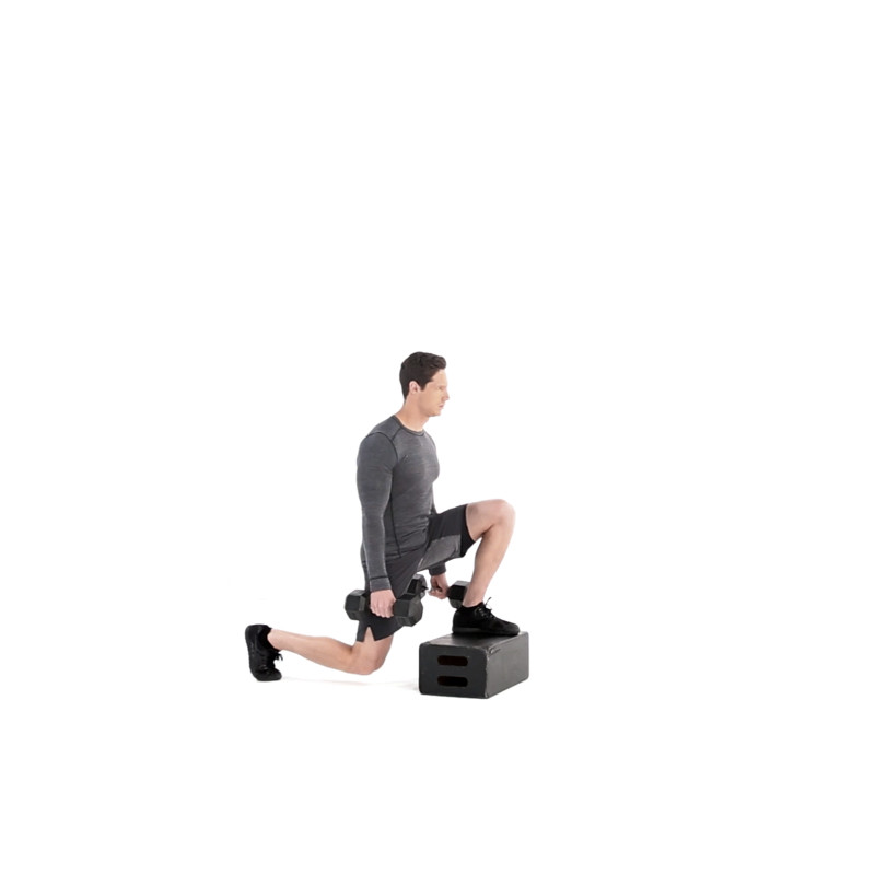 Reverse Dumbbell Box Lunge Video Watch Proper Form, Get Tips & More
