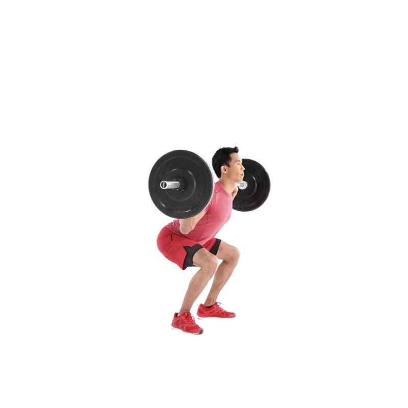 How to Properly Execute a Barbell Back Squat Muscle & Fitness