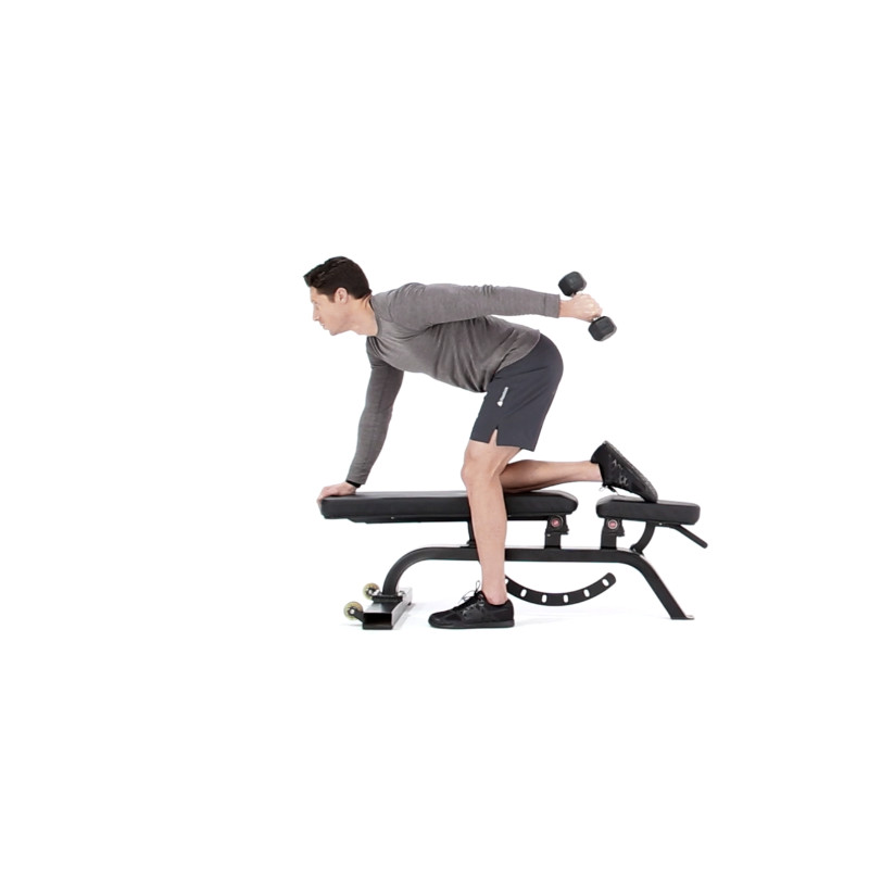 How to Properly Execute a Dumbbell Kickback Muscle & Fitness
