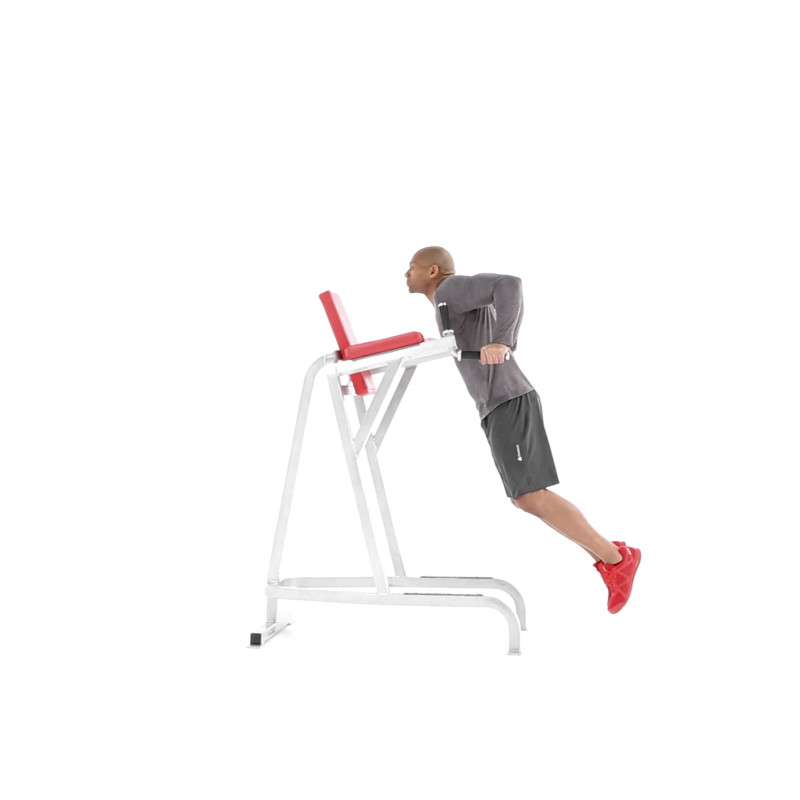 How to Properly Execute a Bodyweight Dip Muscle & Fitness