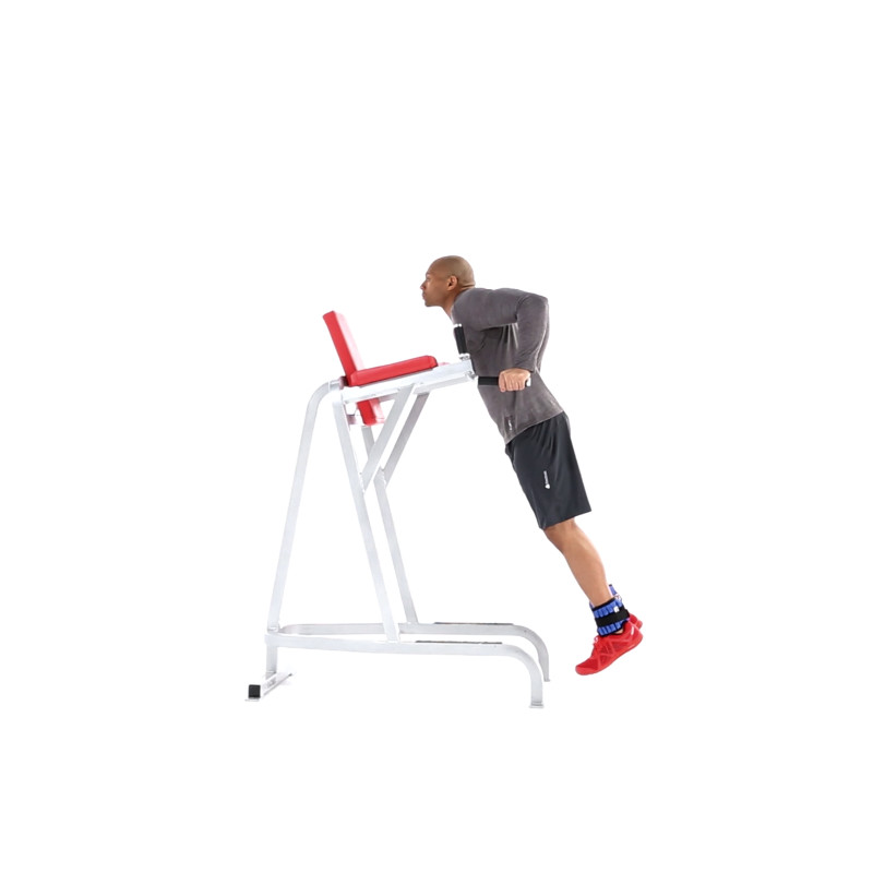 How to Properly Execute a Weighted Dip Muscle & Fitness