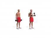 Hammer Curl thumbnail