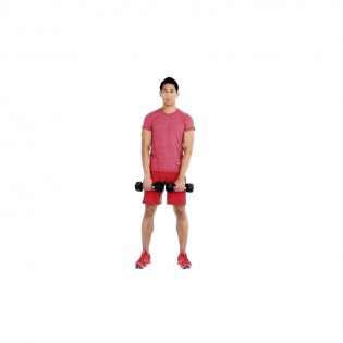 how to properly execute a dumbbell upright row muscle fitness