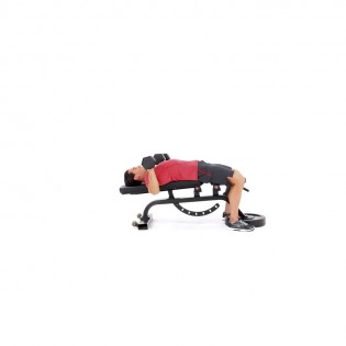 Decline Dumbbell Bench Press Video Watch Proper Form Get Tips