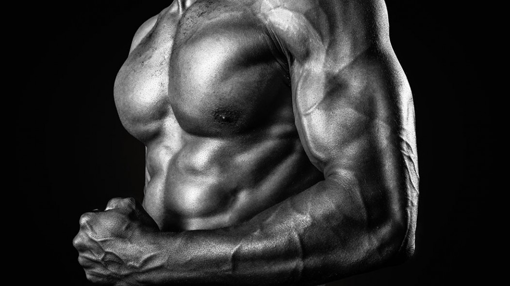 workout routines training programs