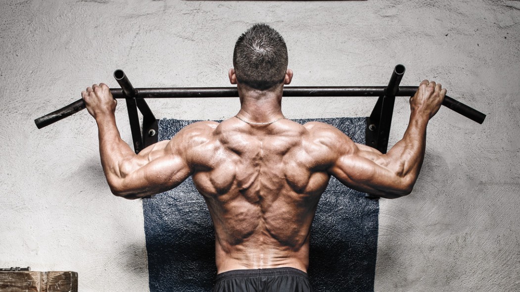 Shoulder Exercises Deltoids, Traps &amp; More Muscle &amp; Fitness