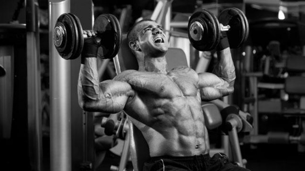 the workout program to