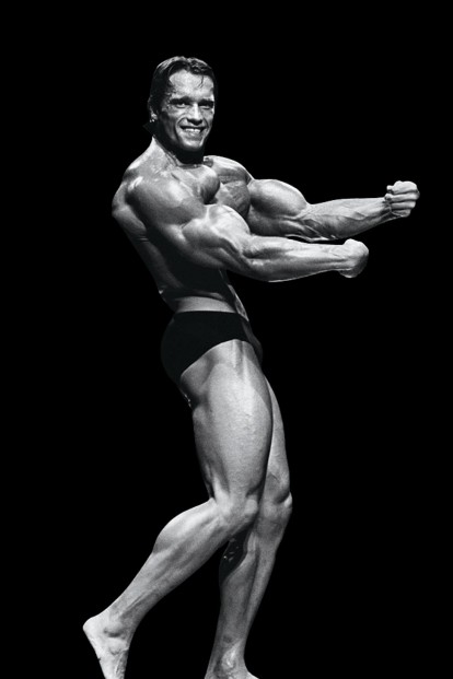 arnold schwarzenegger muscle fitness