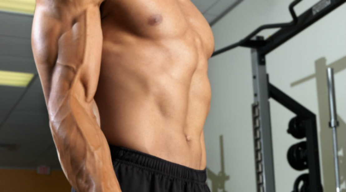 Jacked Shredded Full Body Workout Routine Muscle Fitness Jacked Shredded Full Body Workout Routine Muscle Fitness