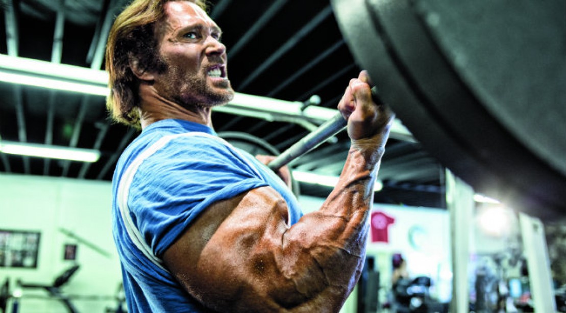 Muscle Building Arm Workout Power Bodybuilding Armed To Muscle Building Arm Workout Power Bodybuilding Armed To