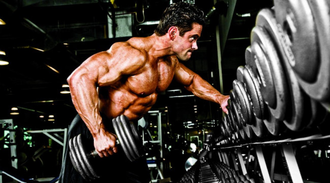 Expert Training Advice Back To The Bench Press Muscle Fitness