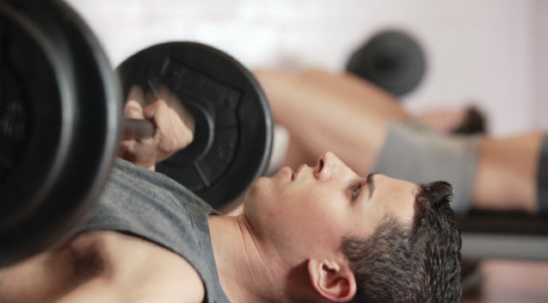 Chest Training Barbell And Dumbbell Bench Press Muscle Chest Training Barbell And Dumbbell Bench Press Muscle