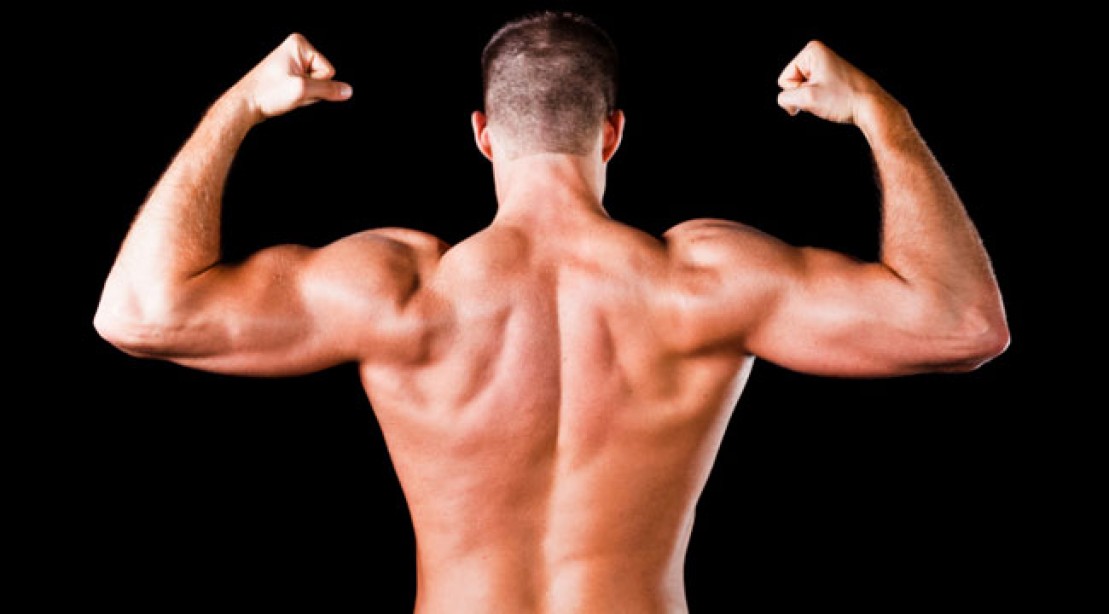 how to t bar row back exercises muscle fitness