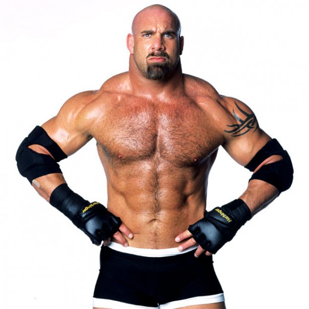 The 12 Best Bodies in WWE History Muscle & Fitness