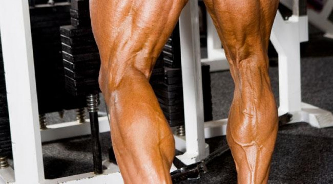 Lower Leg Training The 21 Day Calf Challenge Muscle & Fitness