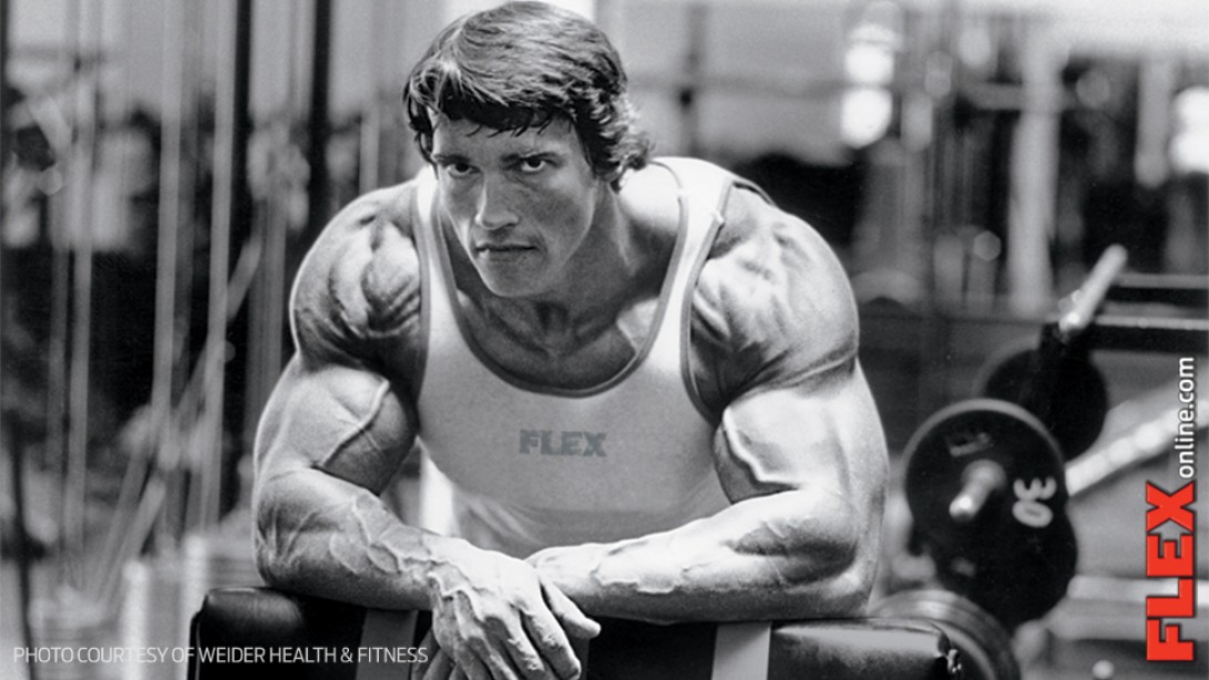 the arnold files muscle fitness