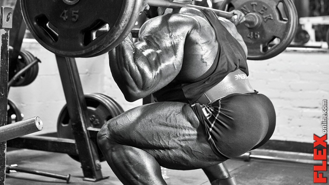 New Year New Muscle Legs Muscle Fitness