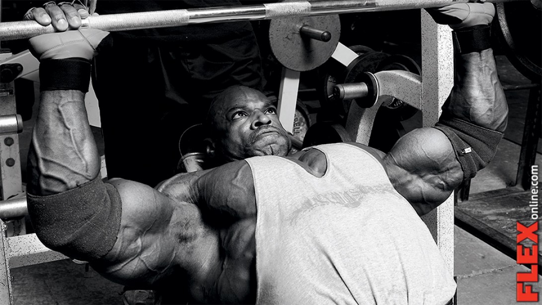 New Year New Muscle Chest Muscle Fitness