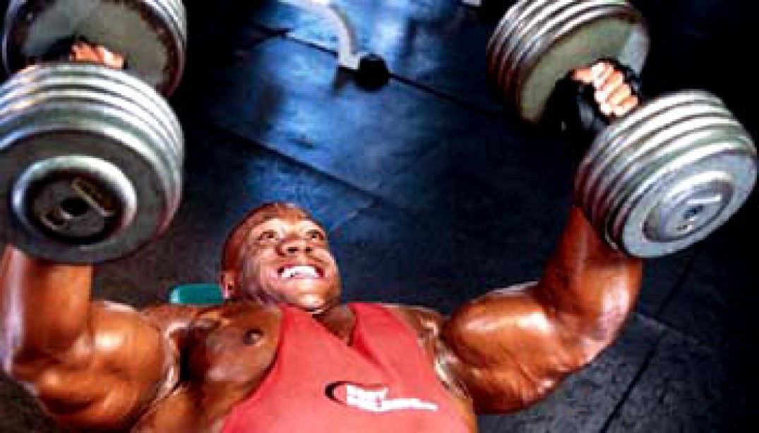 Approach The Bench Muscle Fitness