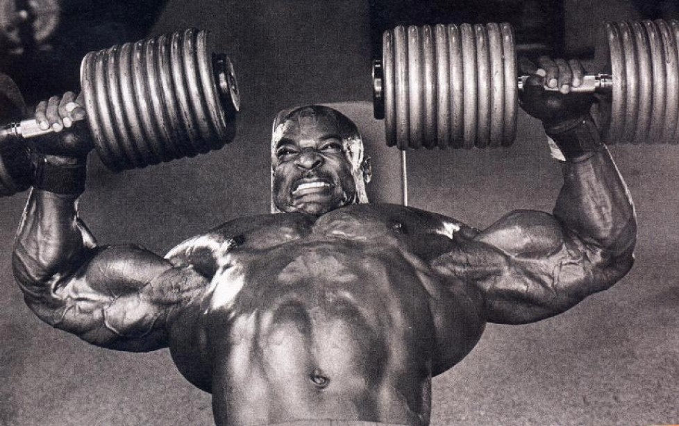 12 Week Plan For A Massive Chest Muscle Fitness