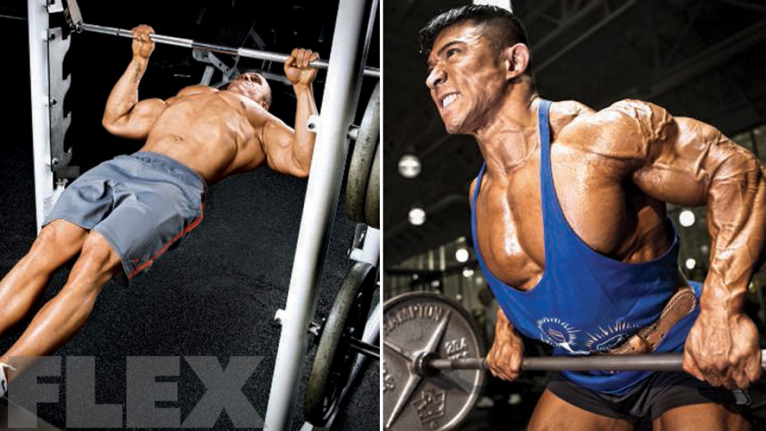 barbell row vs inverted row muscle fitness