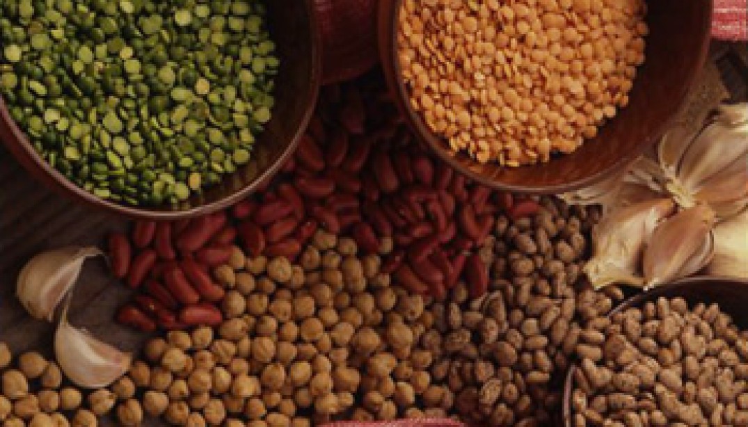 BEANS, BEANS Muscle & Fitness