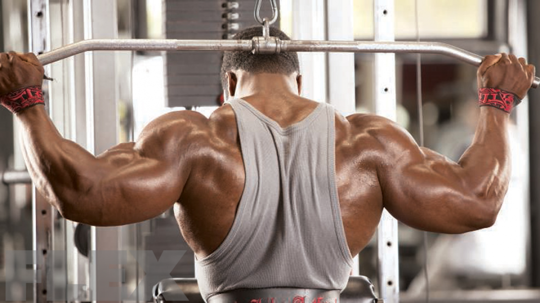 Image result for Behind The Neck Pull Downs