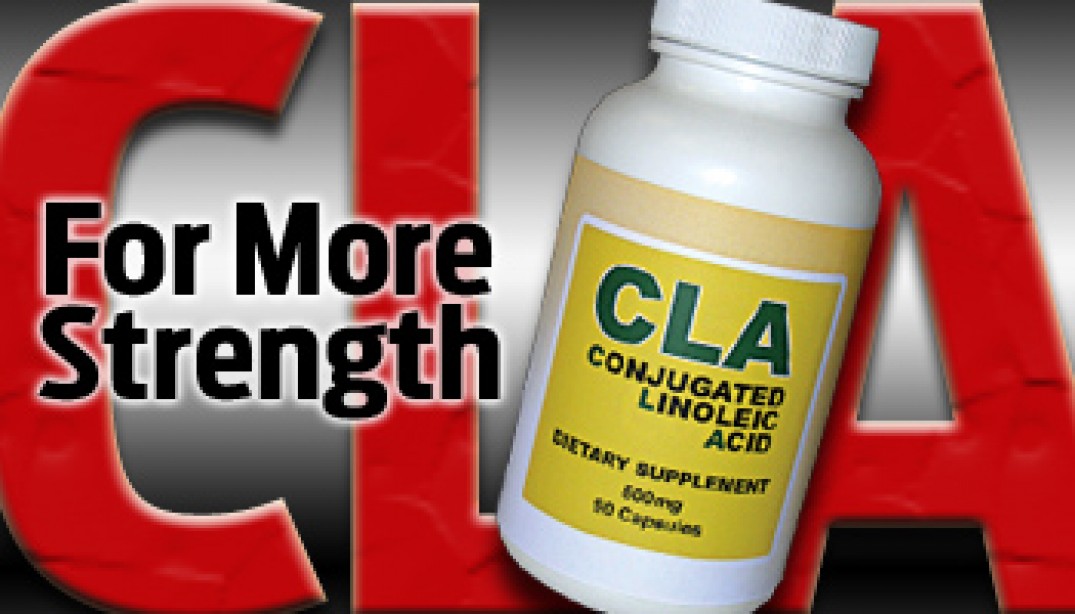 CLA FOR MORE STRENGTH Muscle & Fitness