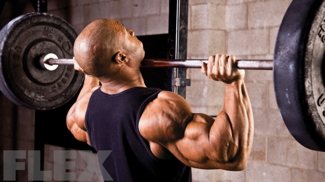 ãanterior deltãã®ç»åæ¤ç´¢çµæ