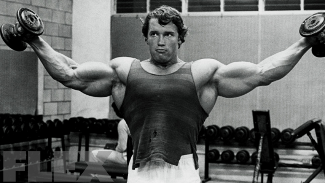 the complete arnold delts muscle fitness