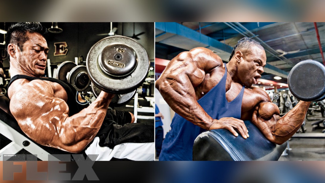 Incline Dumbbell Vs Preacher Curls Muscle Fitness