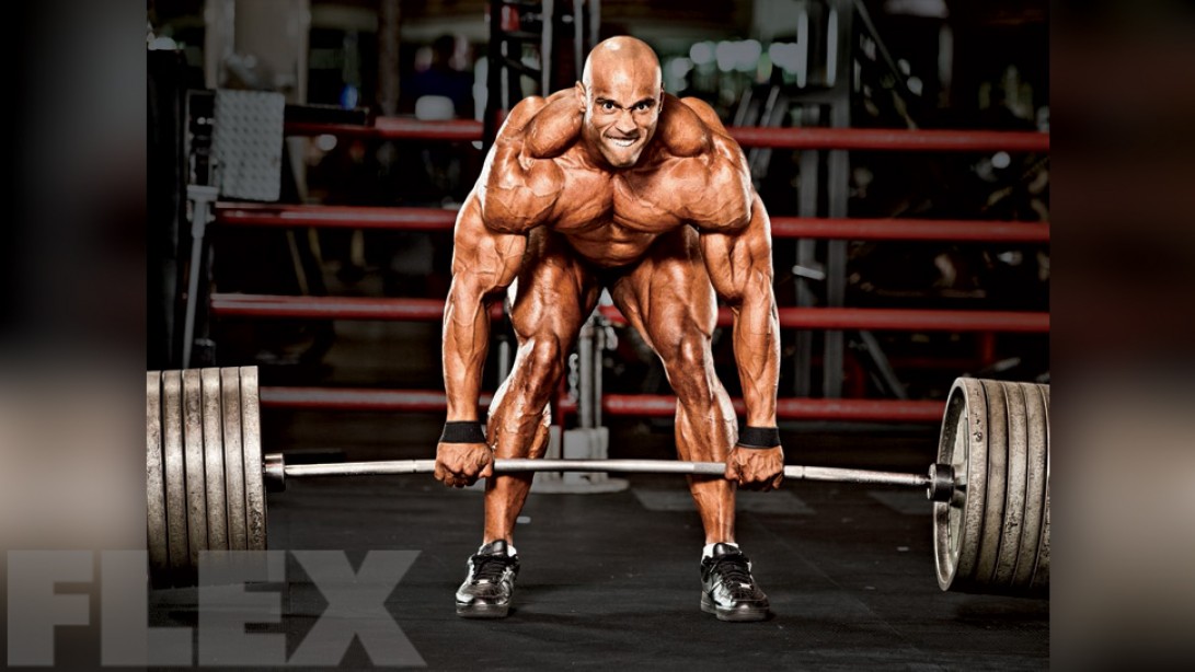 a scientific approach to muscle hypertrophy training muscle fitness