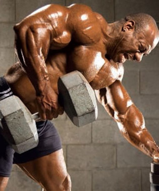 ON TRIAL BACK WORKOUTS ROWS VS. PULLDOWNS Muscle & Fitness