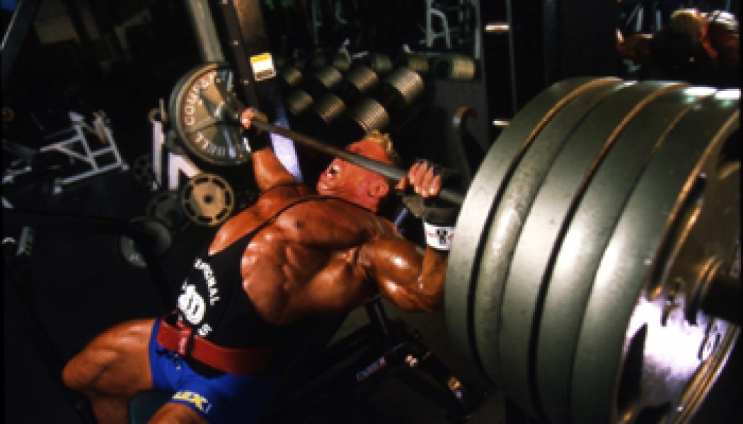 Pro Training Partner Markus Ruhl Muscle Fitness