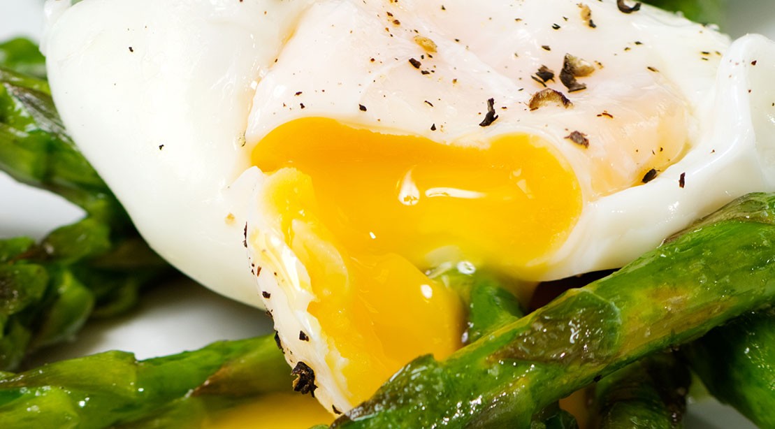 25 Best HighProtein Egg Recipes for Weight Loss and Muscle Building Muscle & Fitness