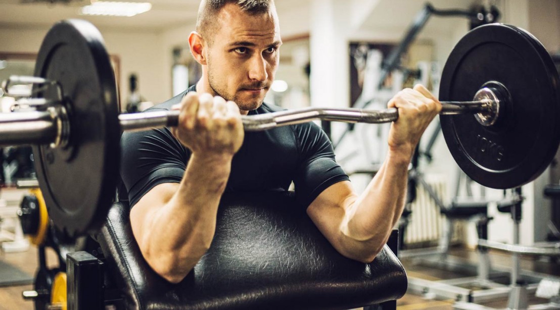 Barbell Curl Barbell Curl