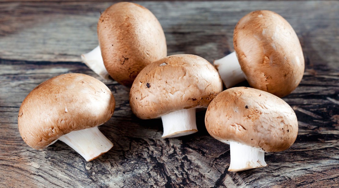5 Types of Mushrooms and Their Health Benefits Muscle & Fitness