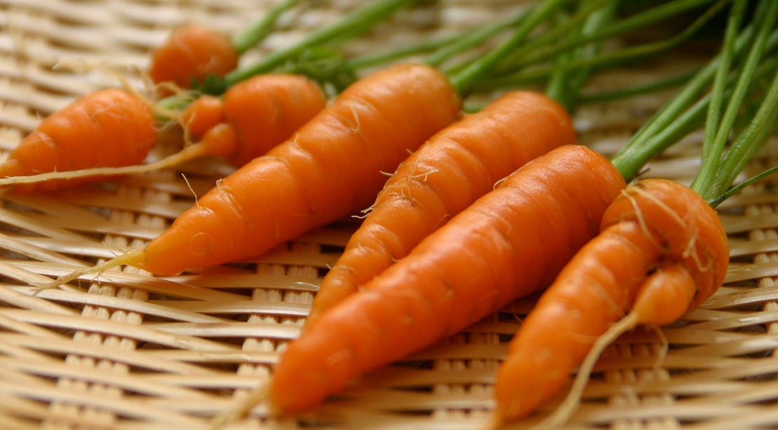 A picture of some baby carrots. A picture of some baby carrots.