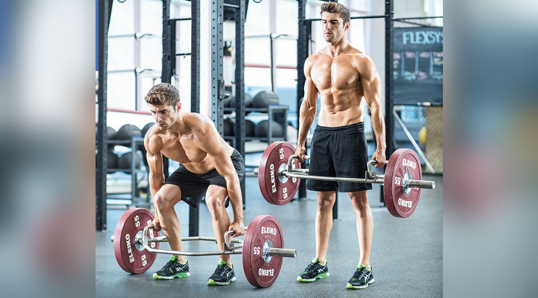 The 8 Best Exercises for Beginner Lifters Muscle & Fitness