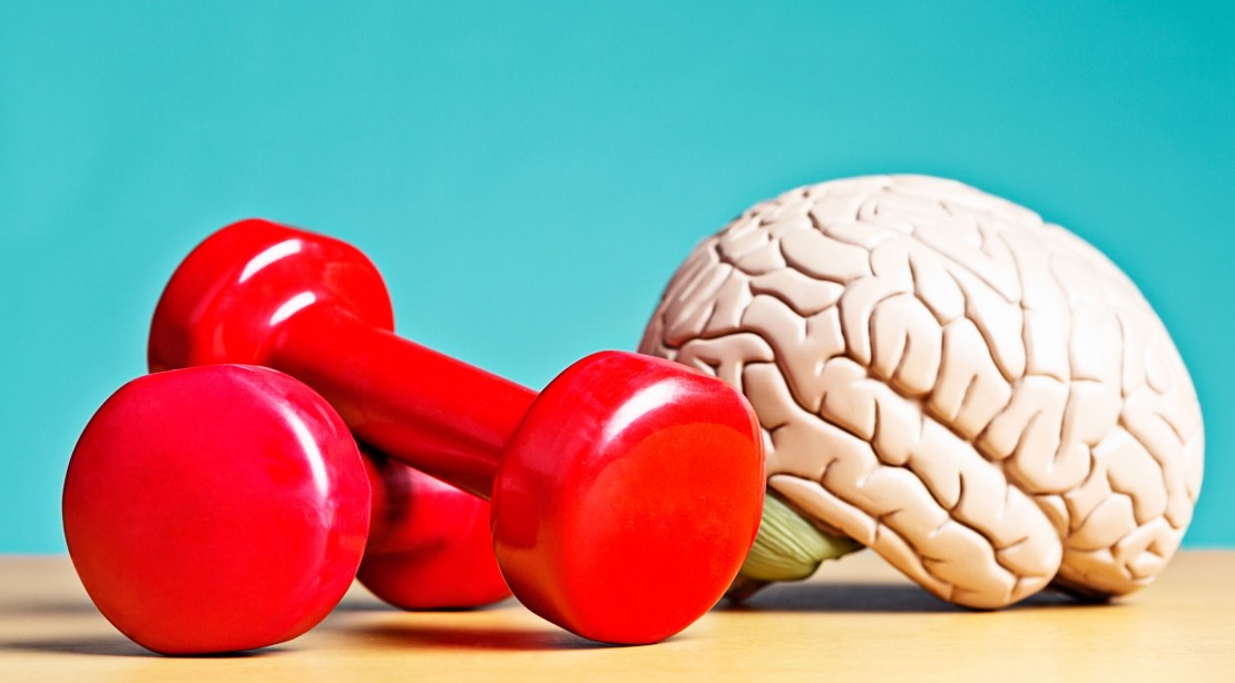 Exercise Leads to Improved Learning, According to a New Study Exercise Leads to Improved Learning, According to a New Study