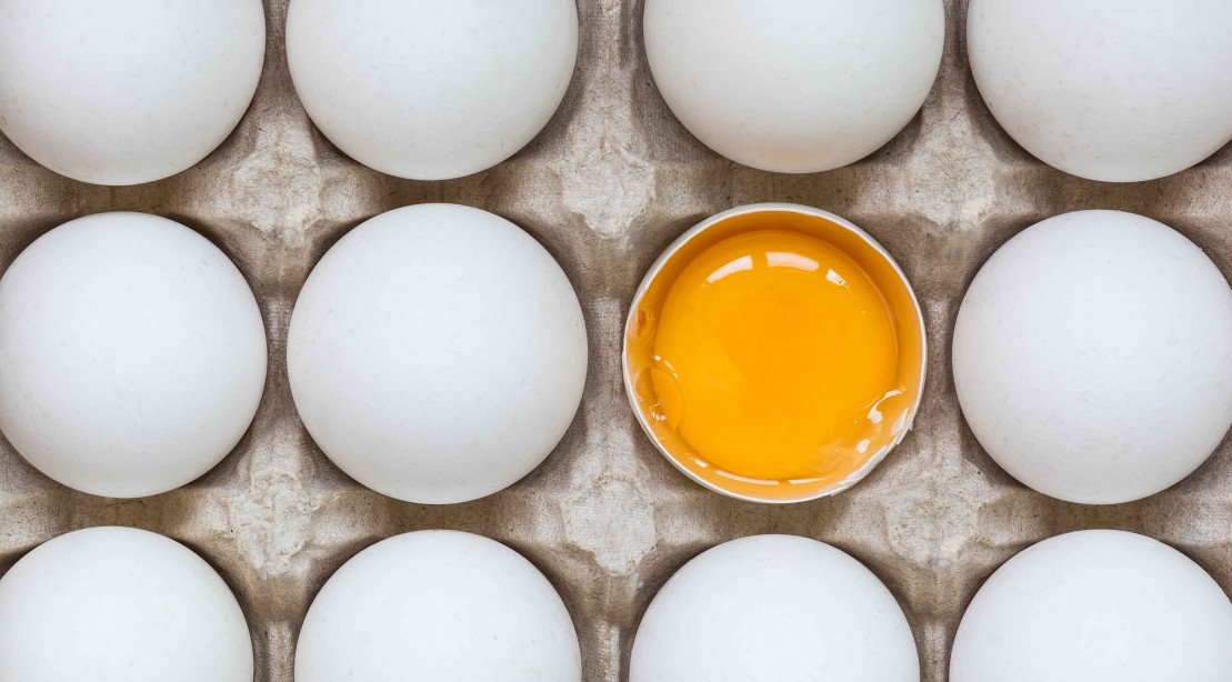 Science Determines You can Eat One Egg Per Day