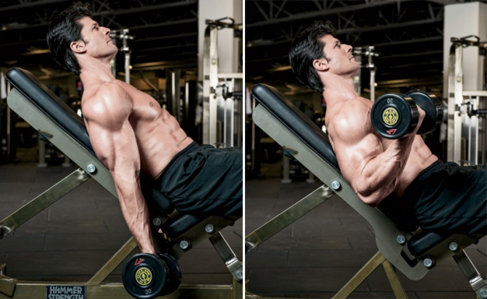 6 Moves to Work Your Arms to Exhaustion Muscle & Fitness